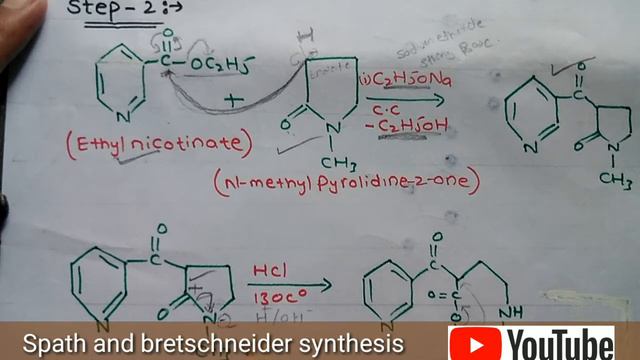 Spath and Bretschneider synthesis||Synthesis of Nicotine||Lecture-12 смотреть онлайн