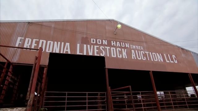 Young Cattle Auctioneer Champion - America's Heartland смотреть онлайн