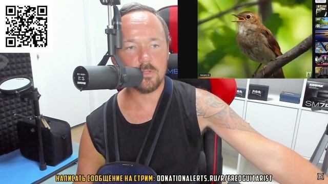 УМЕЕТ ЛИ ПЕТЬ СОЛОВЕЙ? АНАЛИЗ ОТ FREDGUITARIST смотреть онлайн