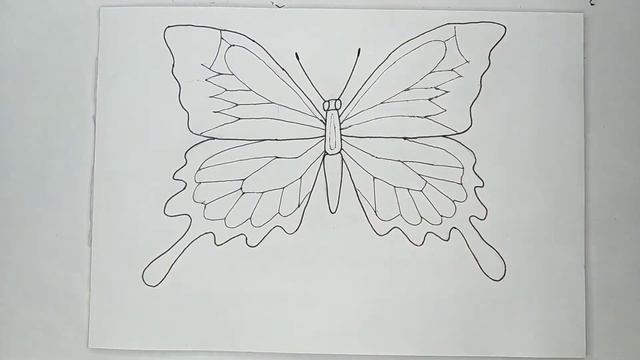 Рисую бабочку смотреть онлайн