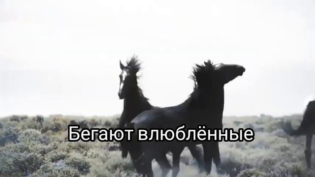 Клип на песню «Поле ковровое». Николай Емелин смотреть онлайн