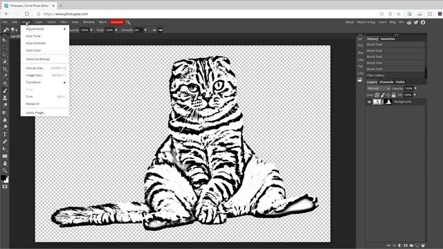 How to Make More Than 5000$ Per Month With Animal Coloring Book in Amazon KDP Completely for Free смотреть онлайн