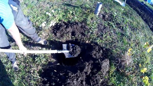 Сажаем черешню смотреть онлайн