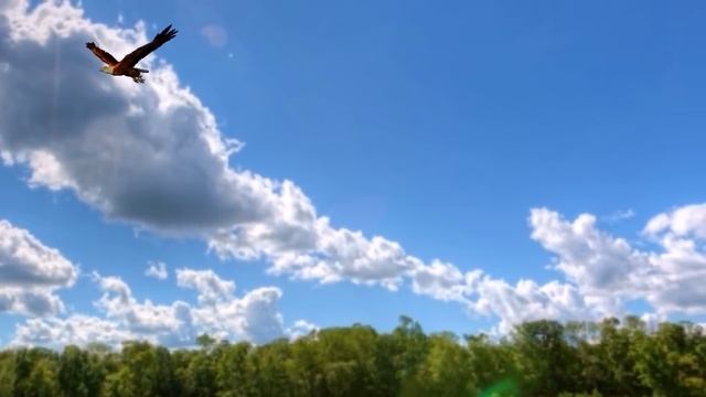 - Виктор Королев - Драгоценная смотреть онлайн