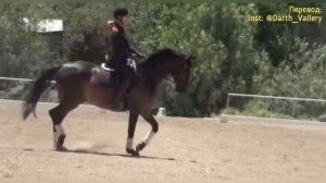 Учебная рысь. Посадка. Пара советов