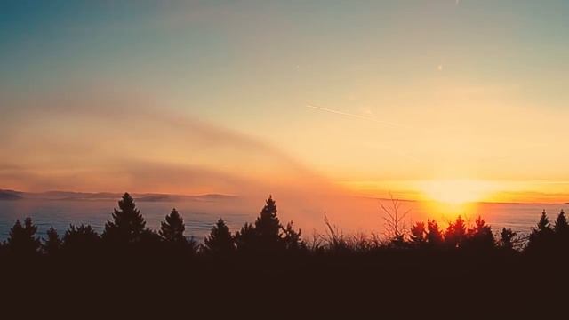 ПОРАЗИТЕЛЬНО: Что говорит Коран об отпечатках пальцев? смотреть онлайн