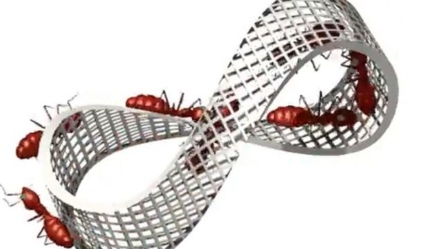 Mobius Strip II Animated Movie смотреть онлайн