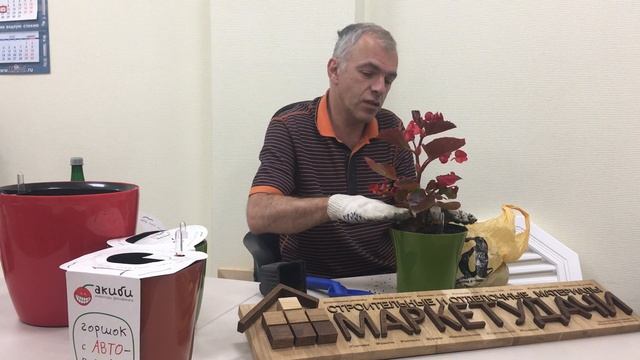 Горшки для цветов с автополивом - как уехать в отпуск и не поливать комнатные цветы? смотреть онлайн