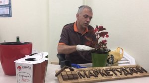 Горшки для цветов с автополивом - как уехать в отпуск и не поливать комнатные цветы?