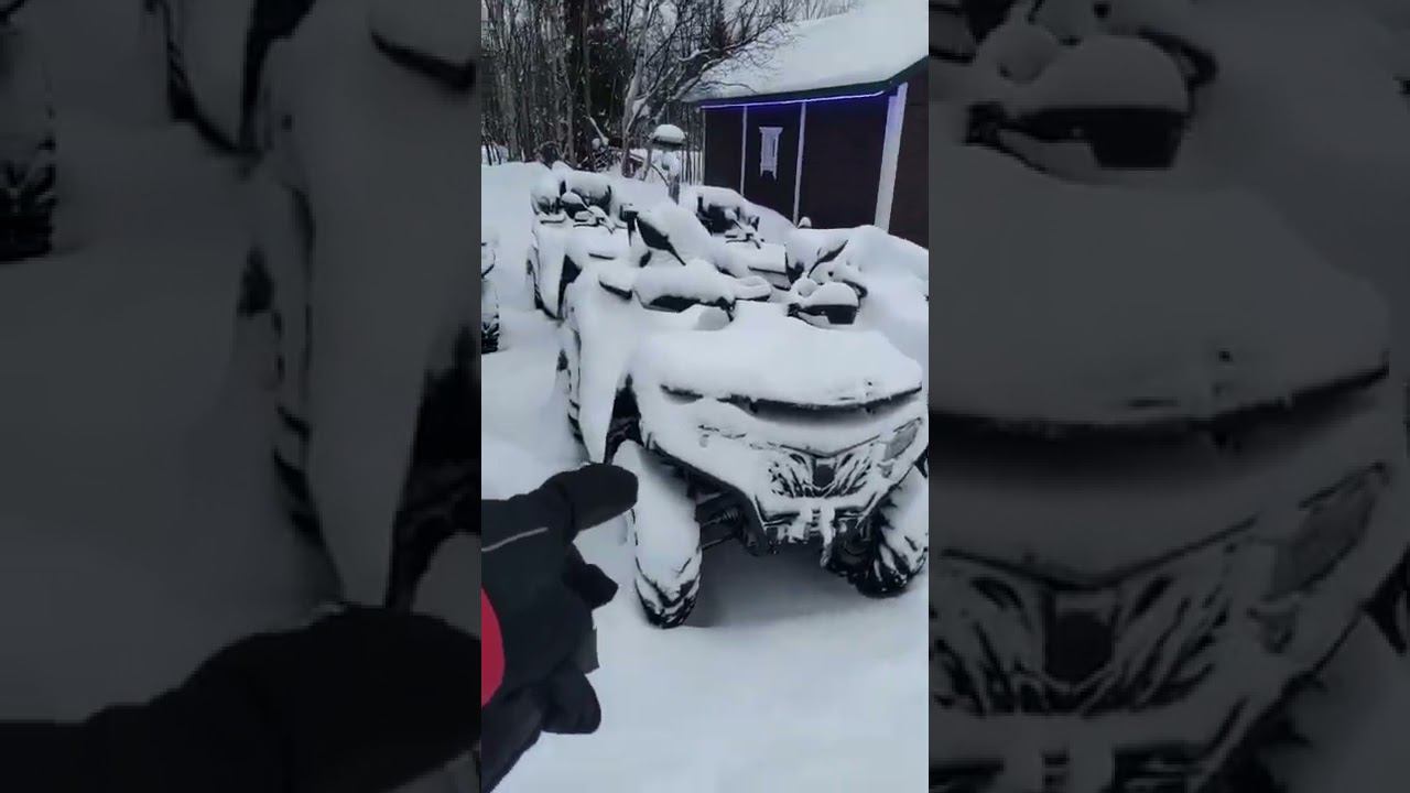 #shorts прокат квадроциклов, проверка надежности смотреть онлайн