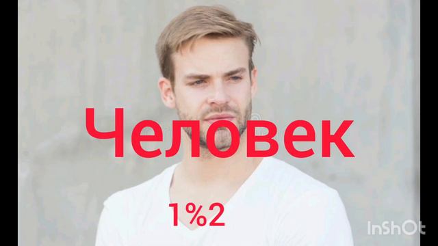 Капибара VS человек капибара топ смотреть онлайн