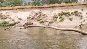 Сплав по реке Медведица на лодке пвх в июне 2022г. Поймали сома.