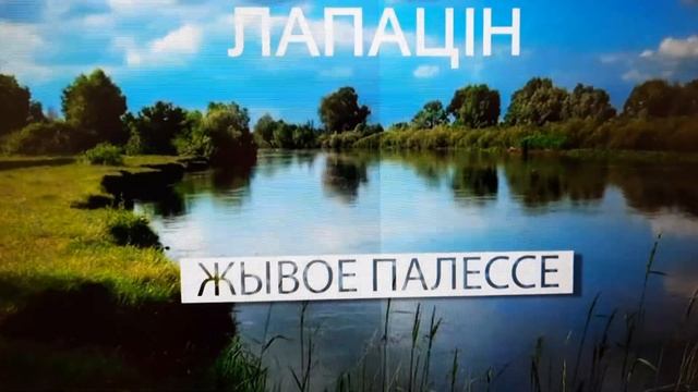 Пинск. Pinsk. д.Лопатино. Беларусь. смотреть онлайн