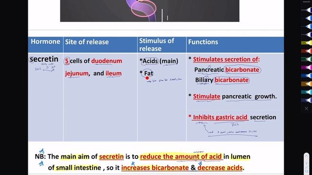 L2 - hormonal regulation of GIT functions￼ смотреть онлайн