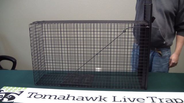 Tomahawk Gravity Door Bobcat Trap смотреть онлайн