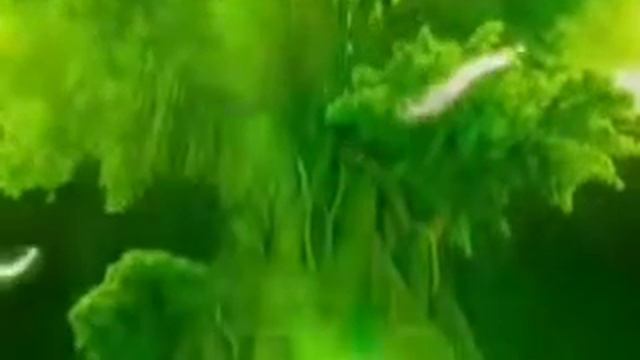 Гнездо дракона: Трон эльфов смотреть онлайн