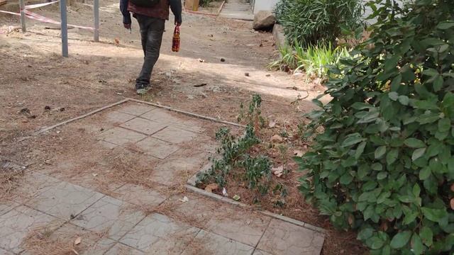 Я в отпуск пошла.