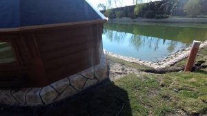 пруд  во  дворе  своими  руками  обзор...  усадьбы.  рыбы в  водоёме.