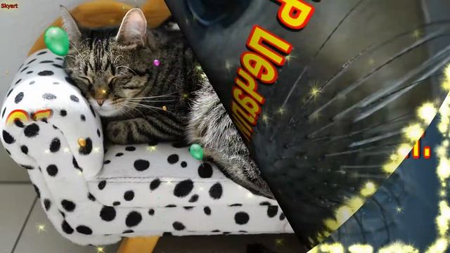 Коллеге в День Рождения! Шикарное поздравление от коллег! Новинка! Прекрасное Видео Поздравление! смотреть онлайн