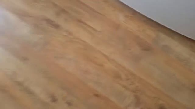 Таракан на кухне смотреть онлайн