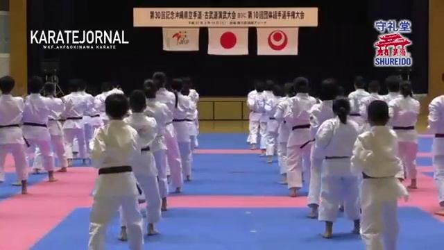 Shureido 第30回空手古武道演武会ダイジェスト смотреть онлайн