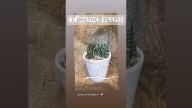 23 de mayo de 2022 смотреть онлайн