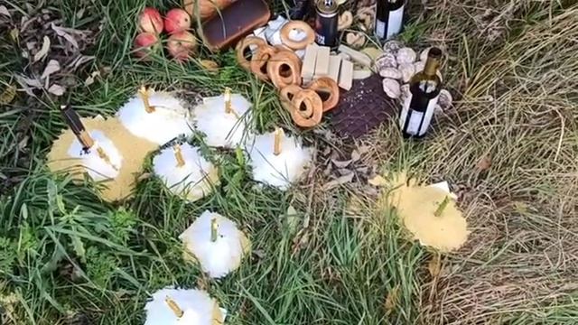 Чистки и наполнение денежного канала смотреть онлайн