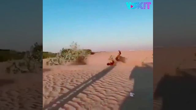 【Vskit Featured】 Extreme sports in the desert, car flip/extreme sports/Vskit short video смотреть онлайн