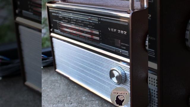 Обезьяньи сны - Русский профессор смотреть онлайн