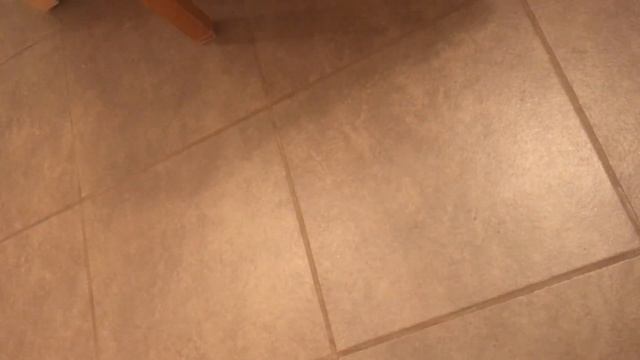 я сижу и какаю (обзор)