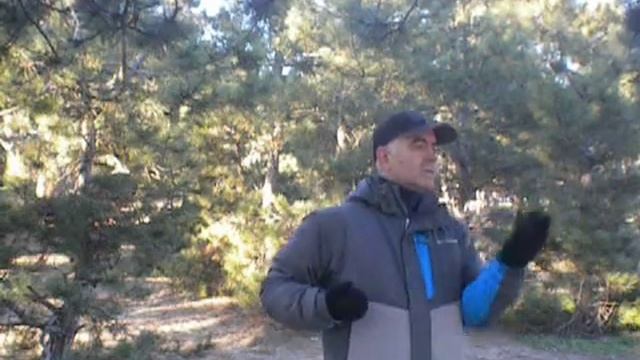 Вин Чун. Нюансы в практике Siu Lim Tao( часть 3) ИМПУЛЬС. смотреть онлайн