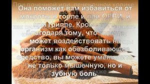 Корица  Полезные свойства и противопоказания