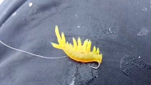 Зимняя рыбалка на силикон GAMMARUS#shorts