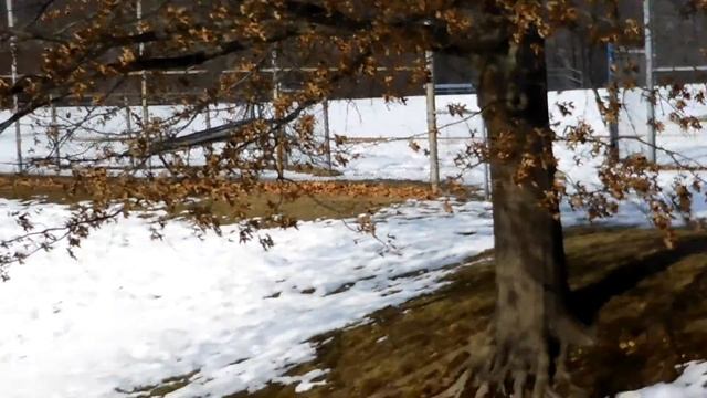 Nikon Coolpix S7000 - Zoom Test 7 смотреть онлайн