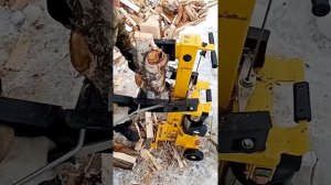 Дровокол "чемпион 6000"