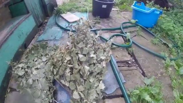 Сушим веники правильно SD 480p смотреть онлайн