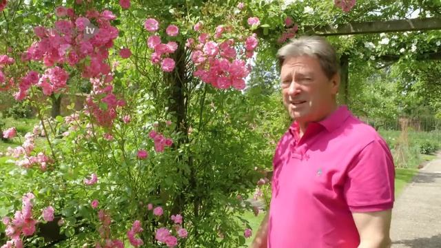 How to Encourage Bees into your Garden with Alan Titchmarsh | Waitrose & Partners смотреть онлайн
