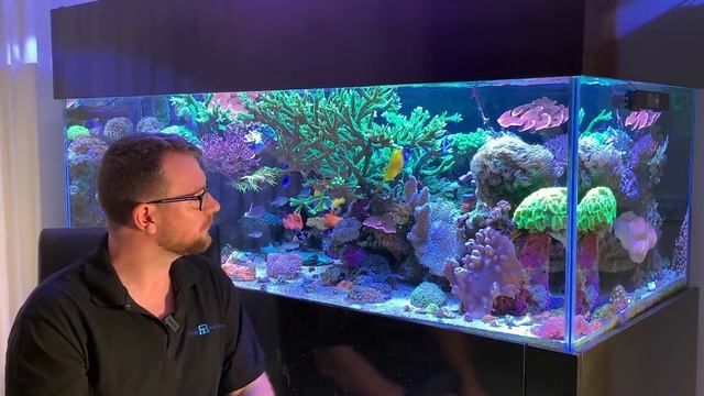 Overview of my 6 year old mixed reef aquarium