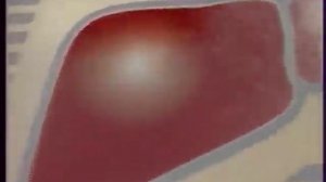 Реклама Гепатрин Эвалар (2009-2011, спонсор метеовыпуска)