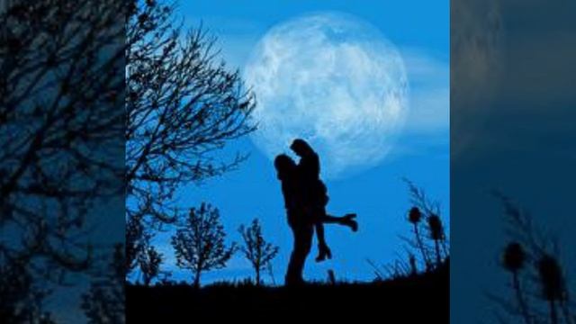 Букет бумажных роз смотреть онлайн