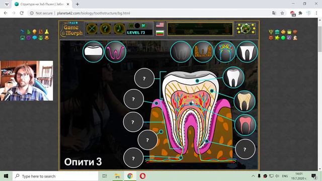 Структура на Зъб - Забавна Образователна Игра по Биология смотреть онлайн