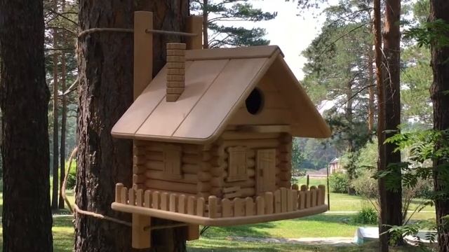 Домик для белок в лесу