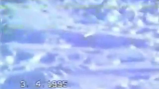 Спасение рядового Умки.Белые медведи. смотреть онлайн