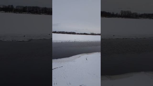 о.Николай Гурьянов #православие #вера смотреть онлайн