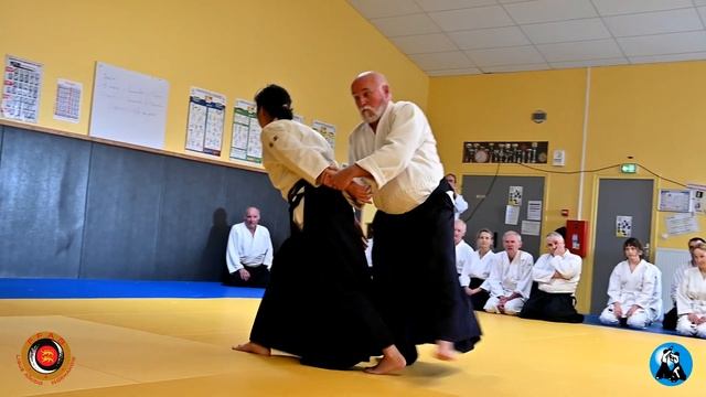 Aïkido : Dany Chareyre et Emiko Hattori - Hommage à Tamura Senseï à Douvres la Délivrande 12 03 23 смотреть онлайн