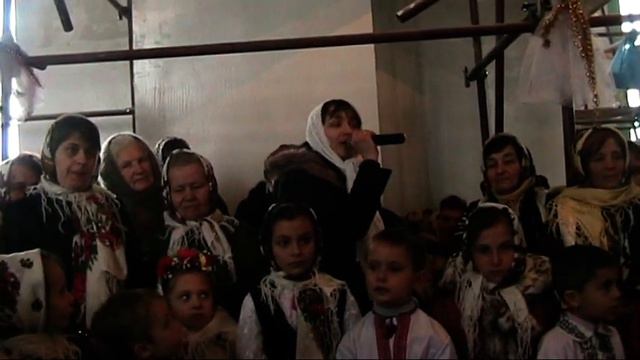 Colinde de Sv.Vasile смотреть онлайн