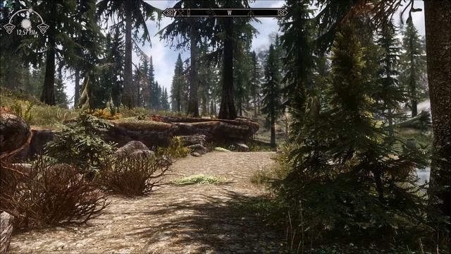 Skyrim SE Mods: My Setting ENB-Reshade Vs. PhoenixVivid ENB-Reshade