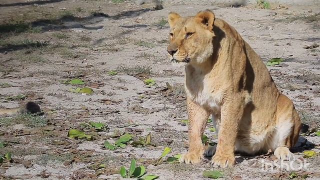 Удивительная красота и величие природы.Релаксация души и тела смотреть онлайн