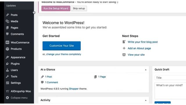 TUTORIAL: AliDropship Woocommerce Store (Create a Woocommerce Dropshipping Store) UPDATED 2018 смотреть онлайн