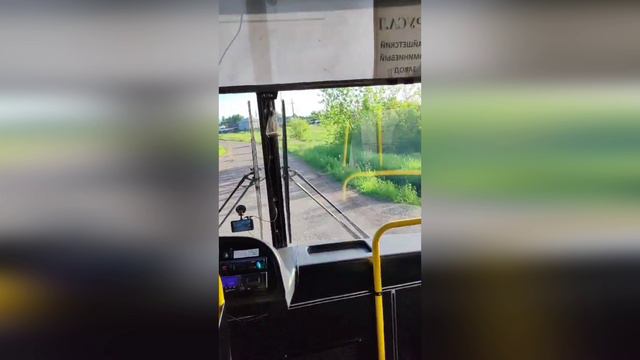 Медведь бегает по окраине Тайшета смотреть онлайн